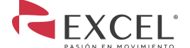 Logo Excel